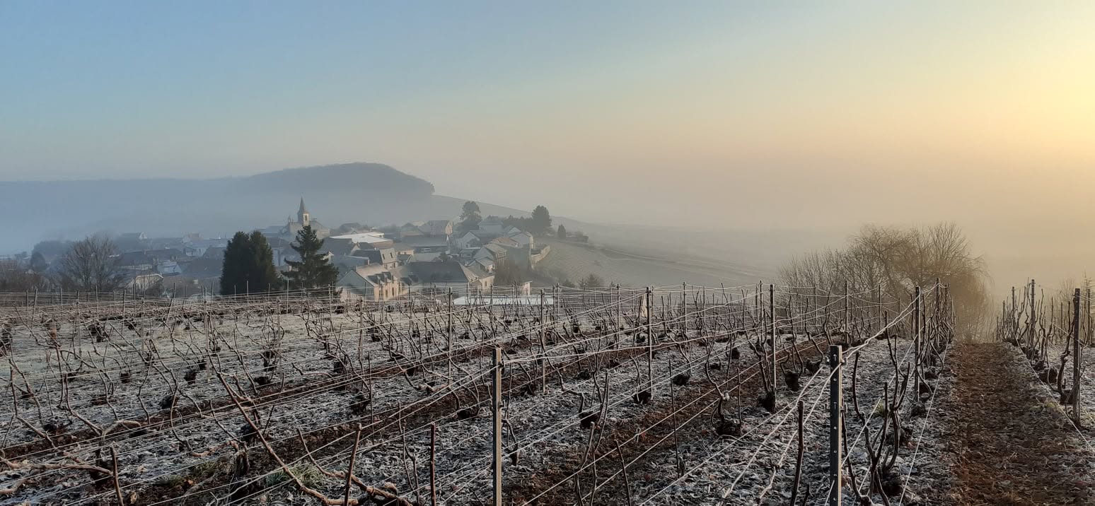  Champagne Lilbert-Fils · Cramant Grand Cru 