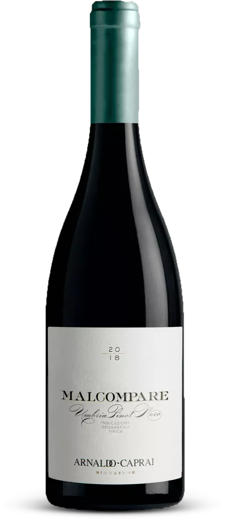 Malcompare Umbria IGT 2019 | 750ml