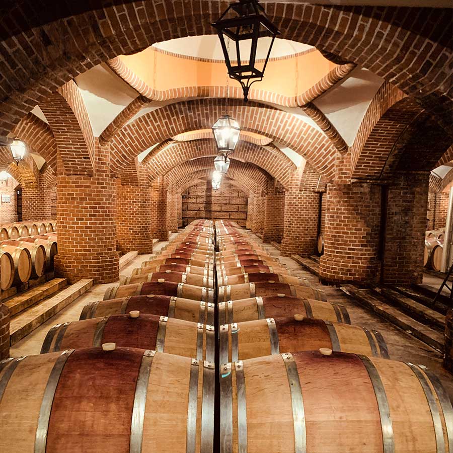  Podere Rocche dei Manzoni 